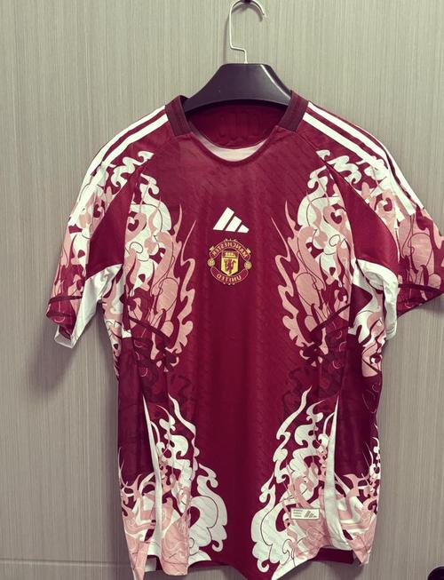 范尼斯特鲁伊的球衣号码