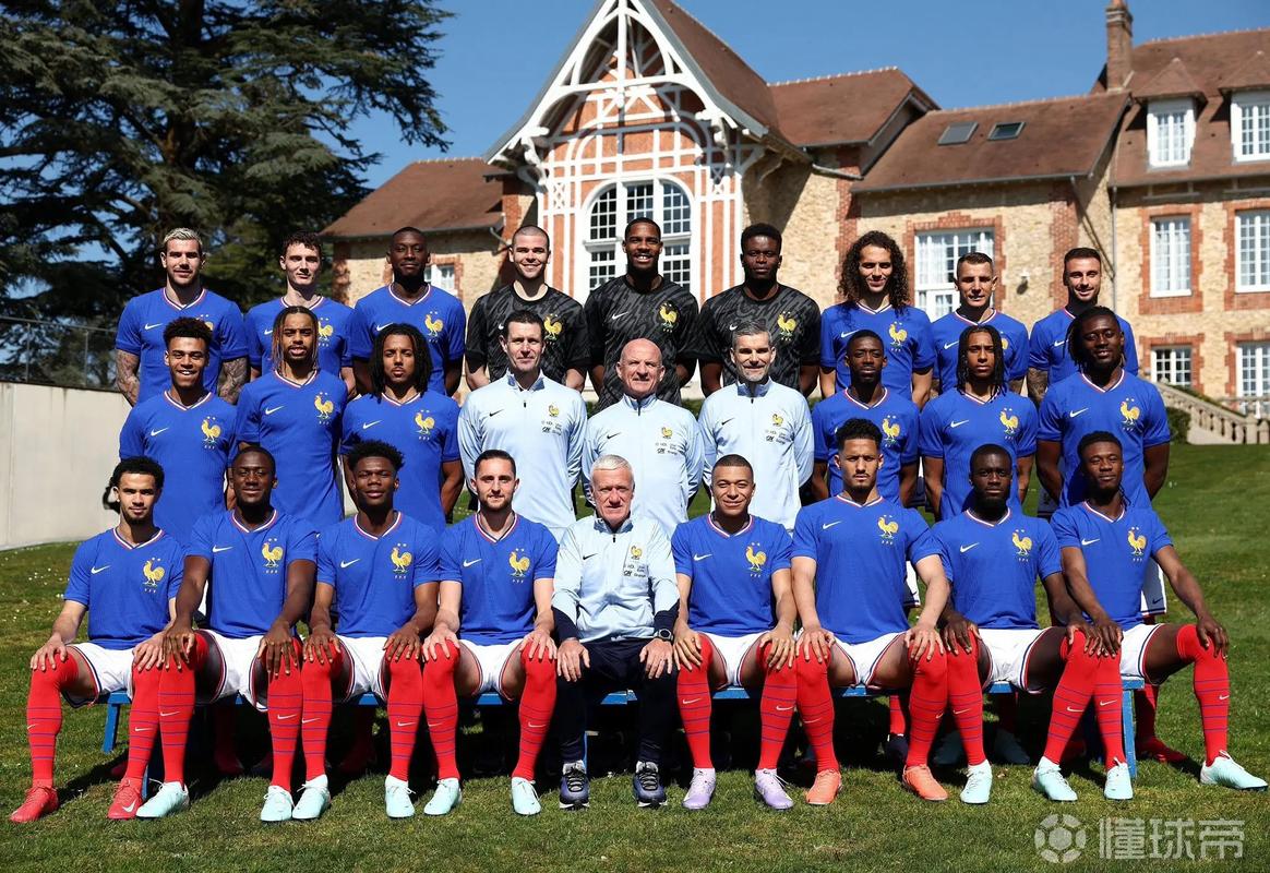 巴黎有几只法甲球队队员