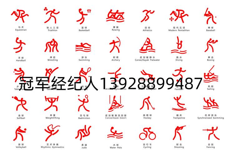 体育运动有哪几类