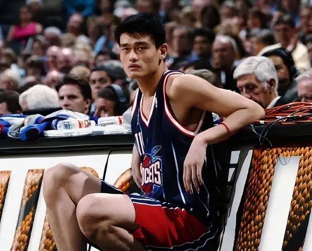 姚明退役的时候多大