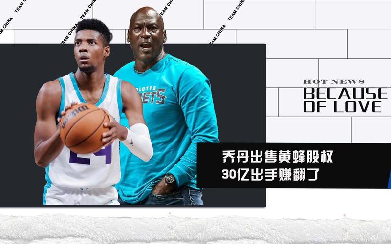 乔丹占黄蜂队多少股份