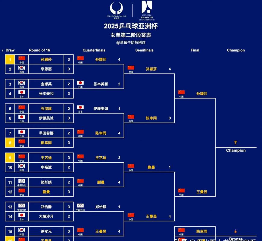 历届女足世界杯冠军亚军季军