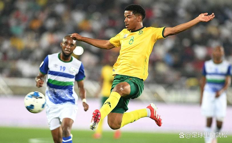 2012年南非世界杯