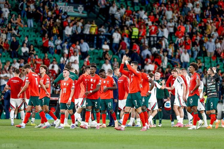 06世界杯葡萄牙八强
