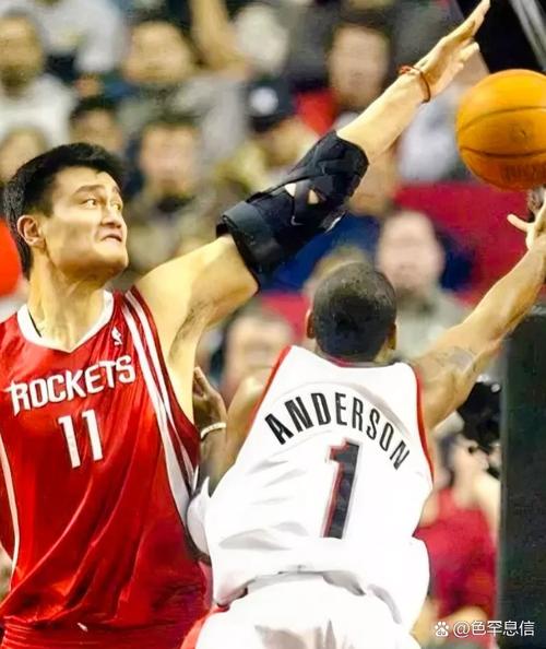 姚明与加索尔对决