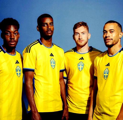 2018世界杯瑞典阵容
