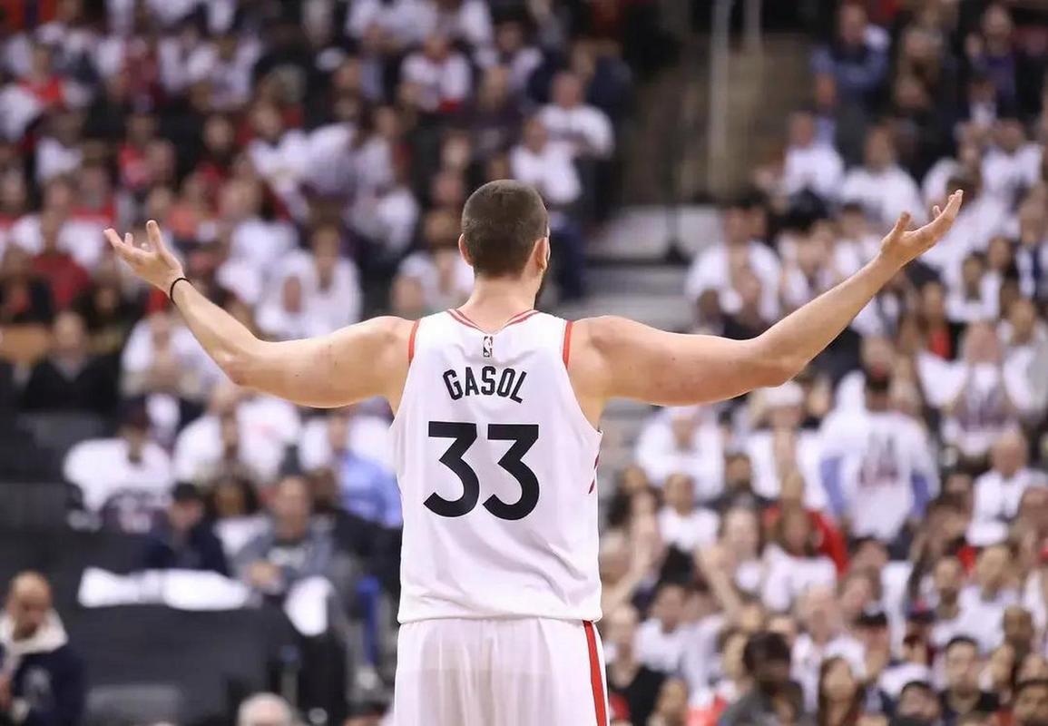 小加索尔拿过最佳防守球员吗