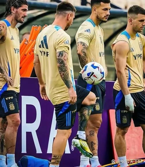 为什么分美洲杯跟欧洲杯呢