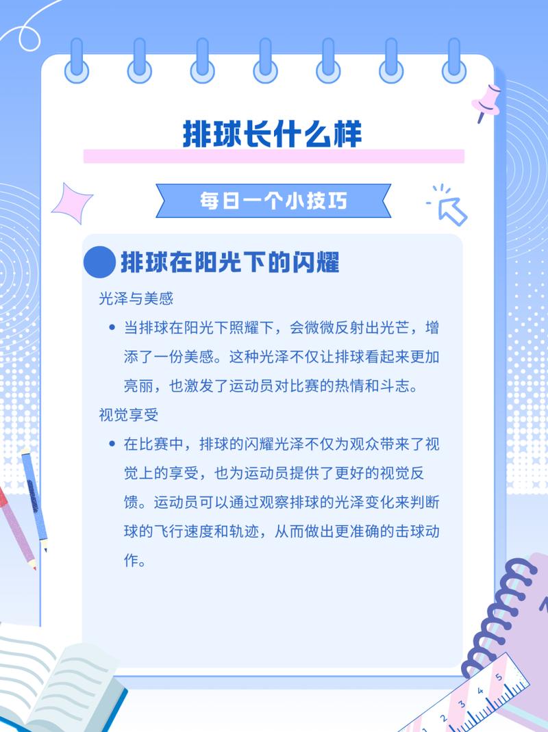 奥运会排球项目包括哪些项目名称