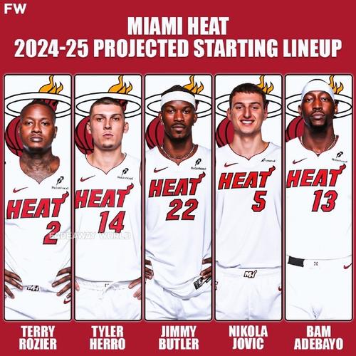 迈阿密热火队简介