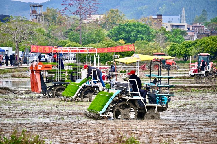 热火朝天忙春种是什么意思