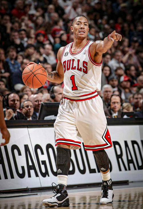 公牛队知名球员