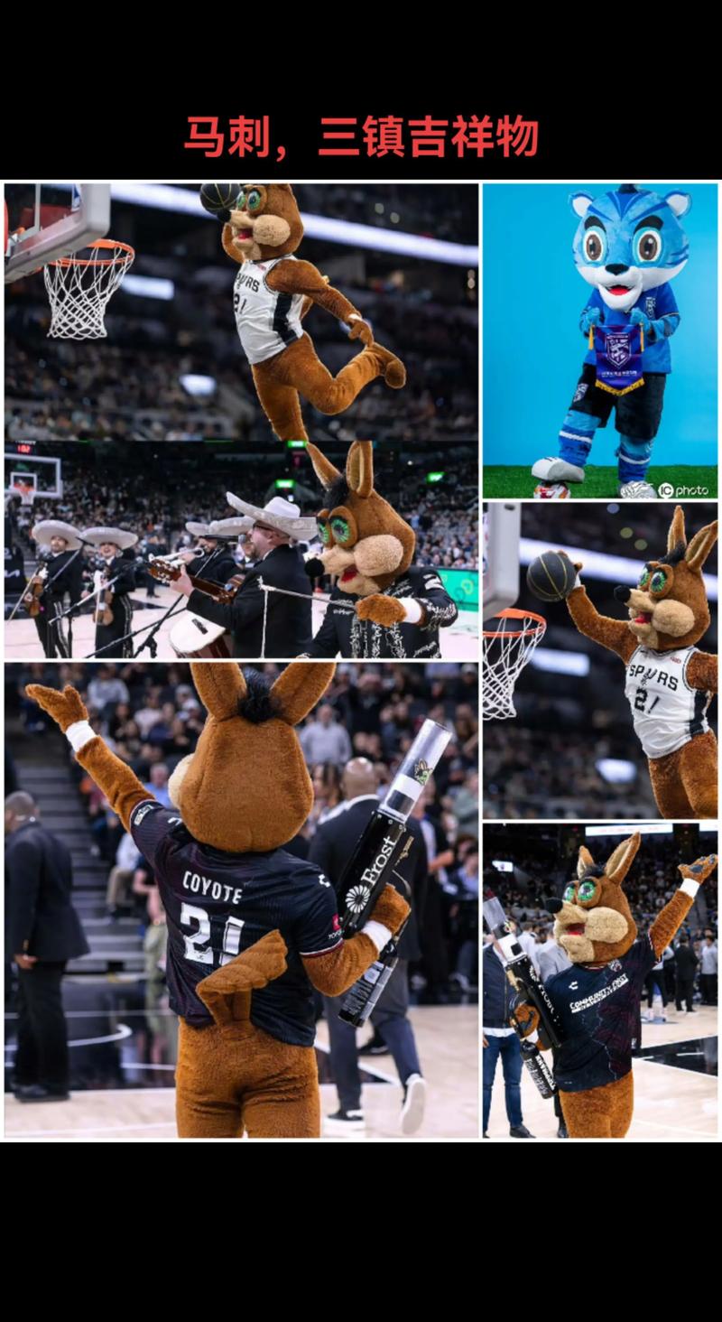 spurs球队