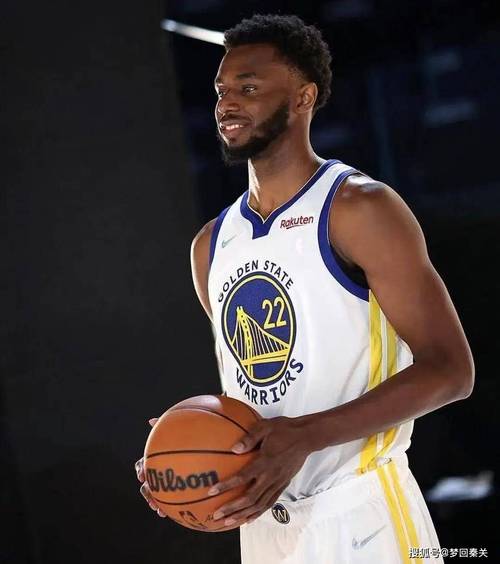 维金斯球员报告