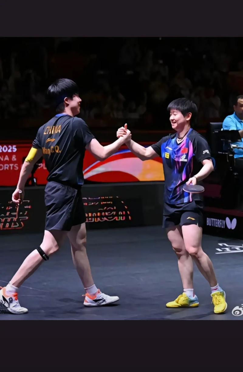 17年乒乓球世锦赛混双