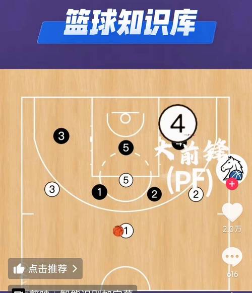 篮球分位讲解