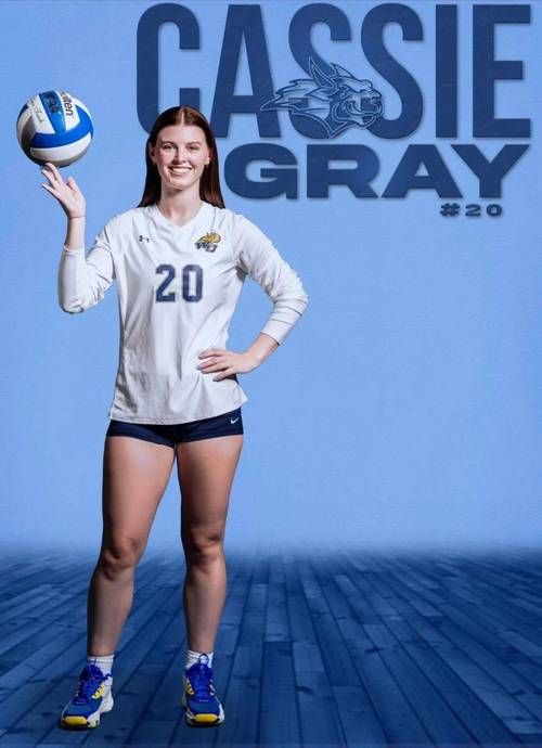 女排有哪些运动员出柜