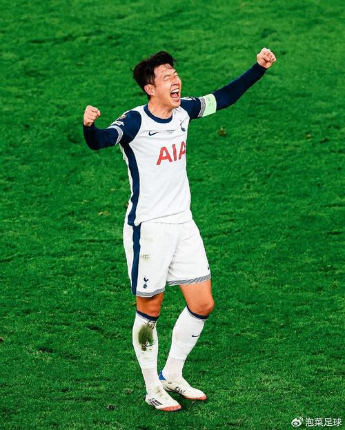 孙兴慜德甲全进球集锦