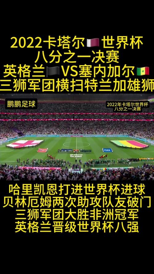 世界杯解说员在哪里解说的