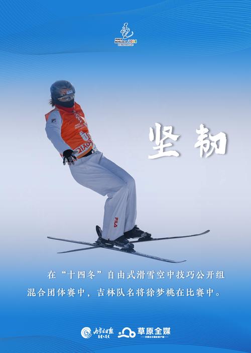 冰雪运动有哪些有几大类有哪些代表人物