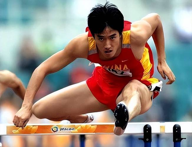 刘翔是什么运动明星