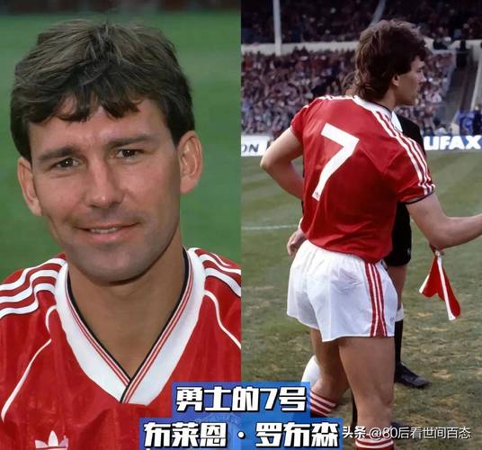 布莱恩罗布森号码6号