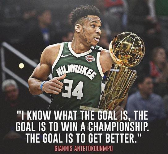 字母哥获得过冠军吗