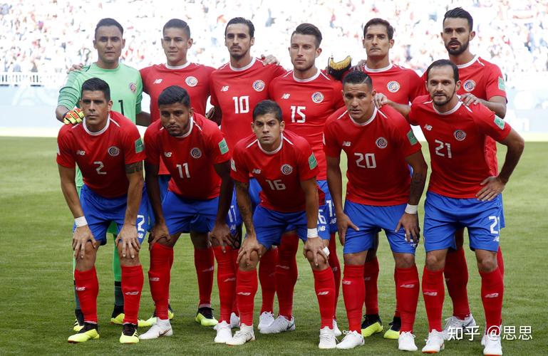 美洲杯共有几支球队