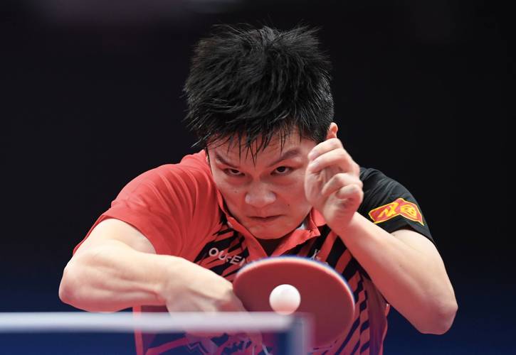 乒乓球运动员樊振东是哪的人