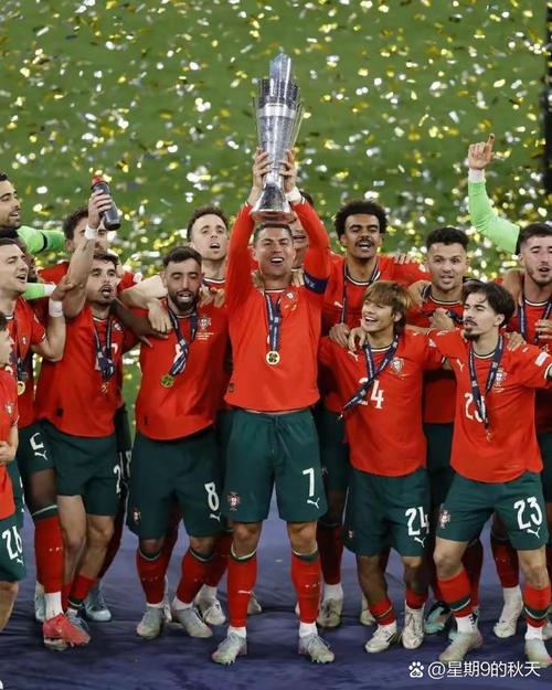 上届欧洲杯四强赛