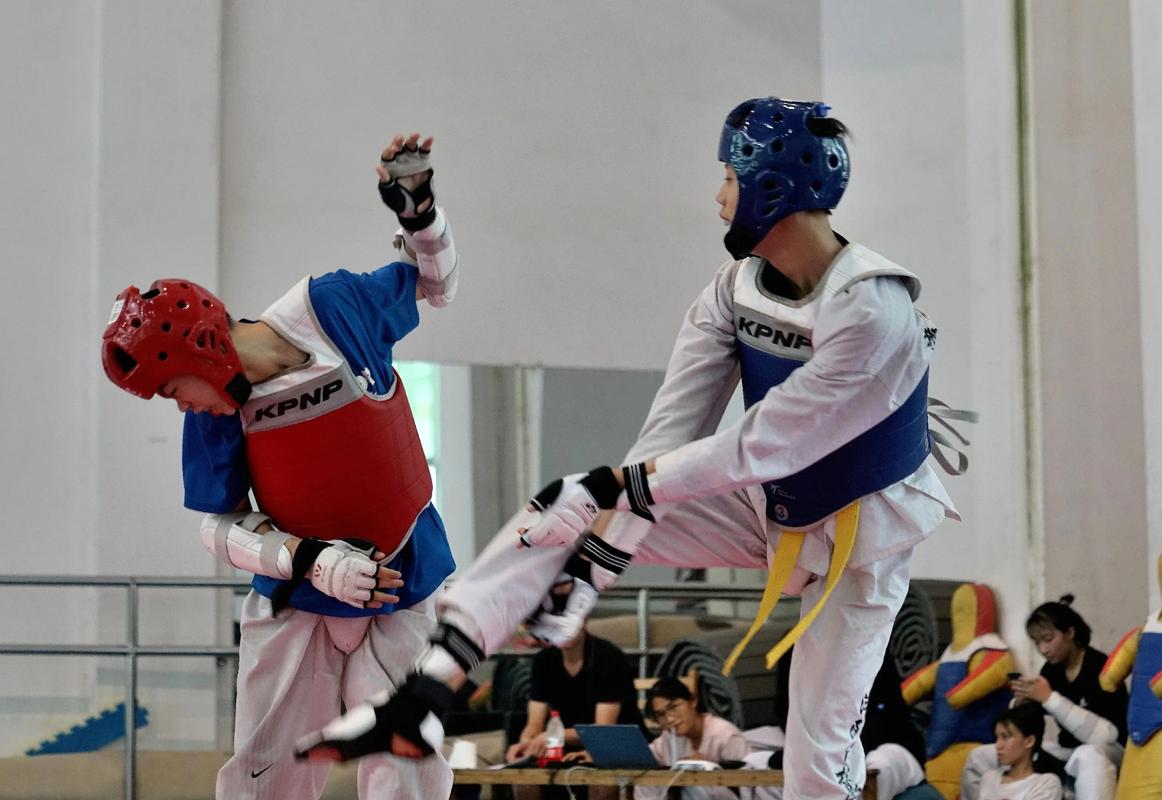 跆拳道比赛中拳的进攻技术仅限于