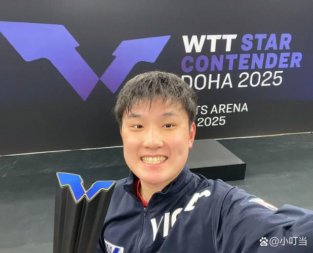 张本智和获得哪些冠军