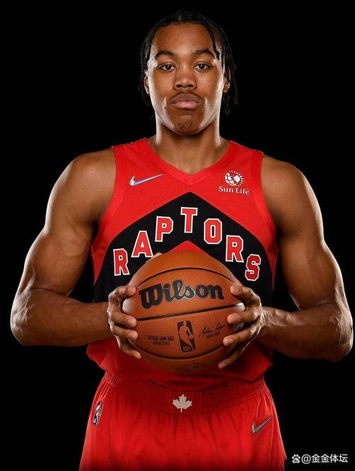 猛龙队夺冠阵容中锋是谁