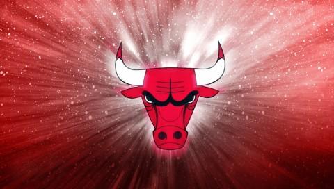 芝加哥公牛队标志的寓意是什么