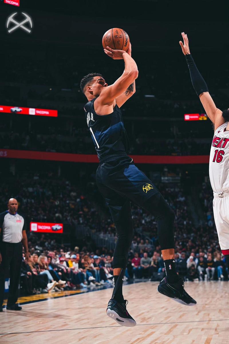 迈克尔波特最近的数据