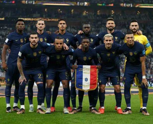 法国队几个黑人