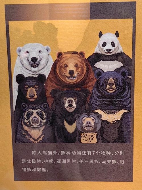 犀牛和灰熊哪个厉害?