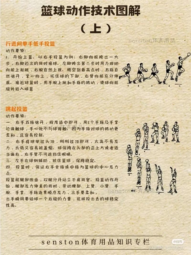 篮球啥时候进入奥运会